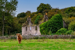 Countryside, Scotland