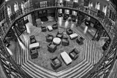 Eschers Study