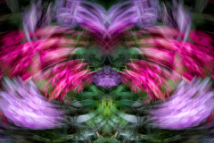 ICM Flower Flip Wings