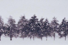 Snow