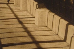 Stalking The Shadows