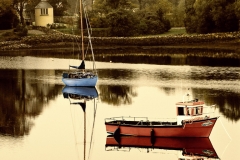Quiet Harbour