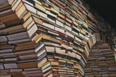 No Such Thing As Too Many Books