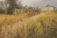 Cabin Panorama