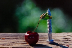 Smooth and Sweet, Spiral and Sharp