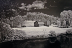 Spring Infrared