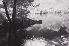 Quiet Cove