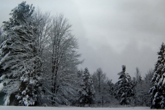 Snow Scene 2