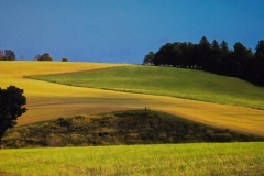 Cherry Valley Hillside