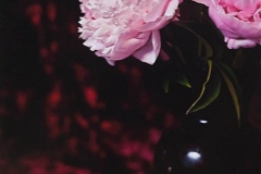Peonies
