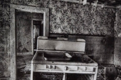 Kitchen Clean Up