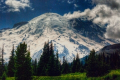 Mt. Rainier