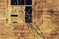 Barn Window