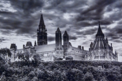 The Other Side of Parliament