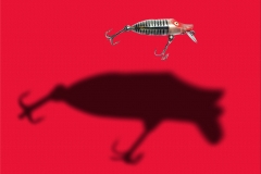 Lure