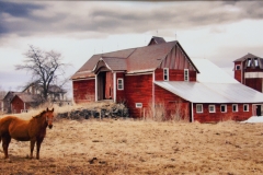 Lone Horse