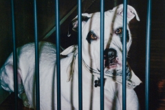 Doing 7 to 12 For Treat Theft