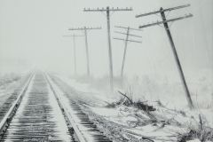 Fog Down The Line