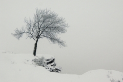 Snow and Fog