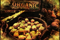 Organic Pears