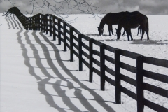 The Long Shadow Of Summer