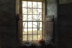 Fall