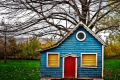 The Little House Under The Tree