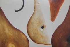 Pear Parts