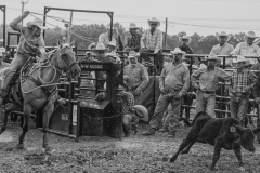 All American Rodeo