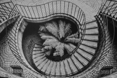 Spiral Staircase