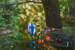 Backyard Balloon And Bench