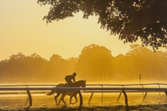 Morning Wind