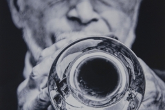 Its All About That Horn
