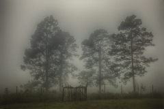 Gate