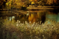Autumn Pond