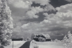 Back Road Farm