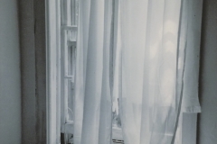 The Window