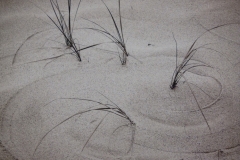 Wind Circles