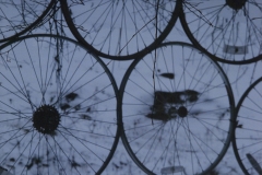 Wheels Go Round
