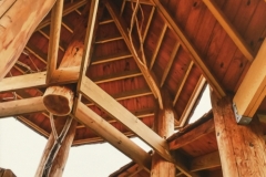 Tree House Roof