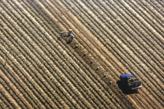 Schoharie Valley Potato Harvest