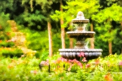 Rose Garden