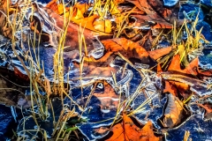 Winter Recedes