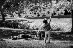 Afternoon In The Park