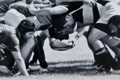 The Scrum