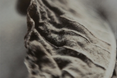 The Curl