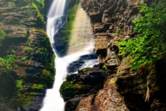 Shower Of Eden