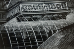 Glass and Lines