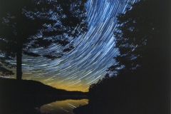 Gulls by Starlight