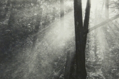 Early Morning Poconos